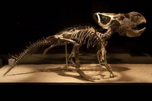 Vědci se naučili, jak dlouho dinosauři vylezli na vejce Vědci se naučili, jak dlouho dinosauři vylezli na vejce